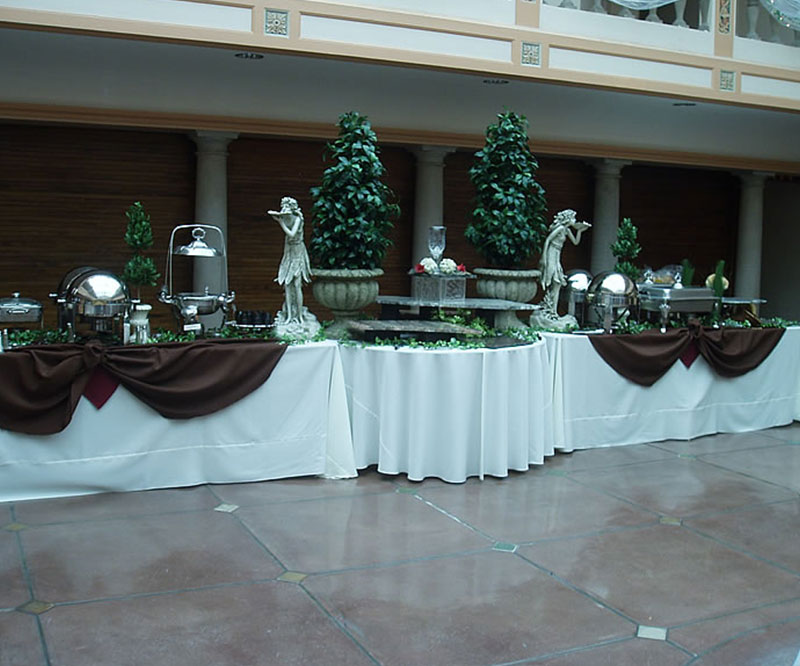 Catering Organizasyon