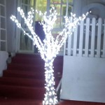 Işıklı Ağaç İmalatı