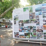 Panel Paravan