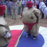 Sumo
